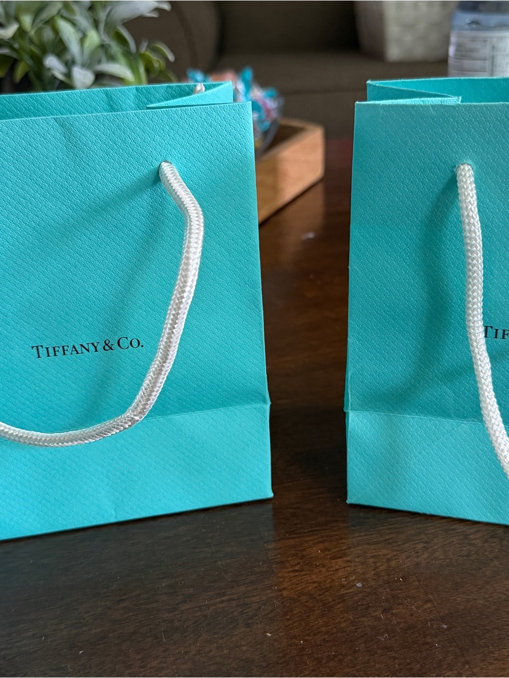 Tiffany & Co. Robin's Egg Blue Gift Bags with White Rope Handles